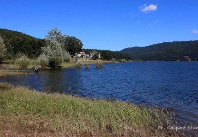 Lorica, inizieranno a breve i lavori di riqualificazione del lungo lago Arvo
