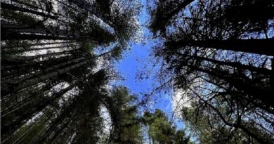 La Sila ospita il VII° Meeting nazionale delle Riserve della Biosfera MAB Unesco