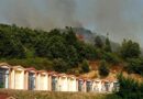 Rogliano, l’estate rovente alimenta il fuoco: vasto incendio vicino al cimitero